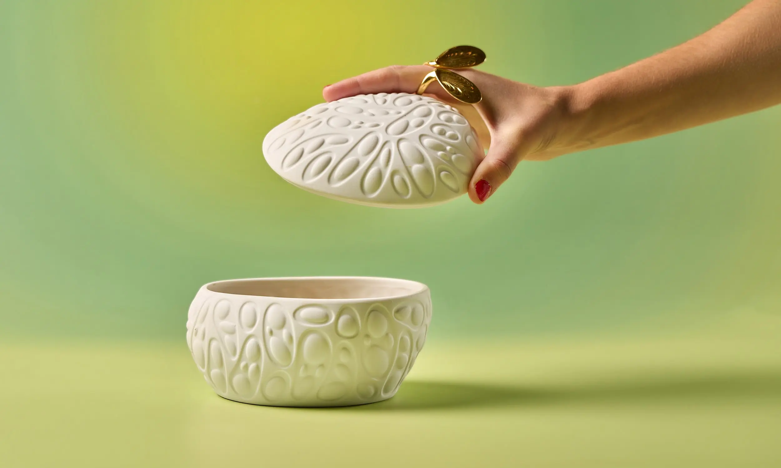 Cookplay Rex Collection